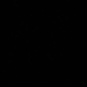 Meet your Posher, Amelia